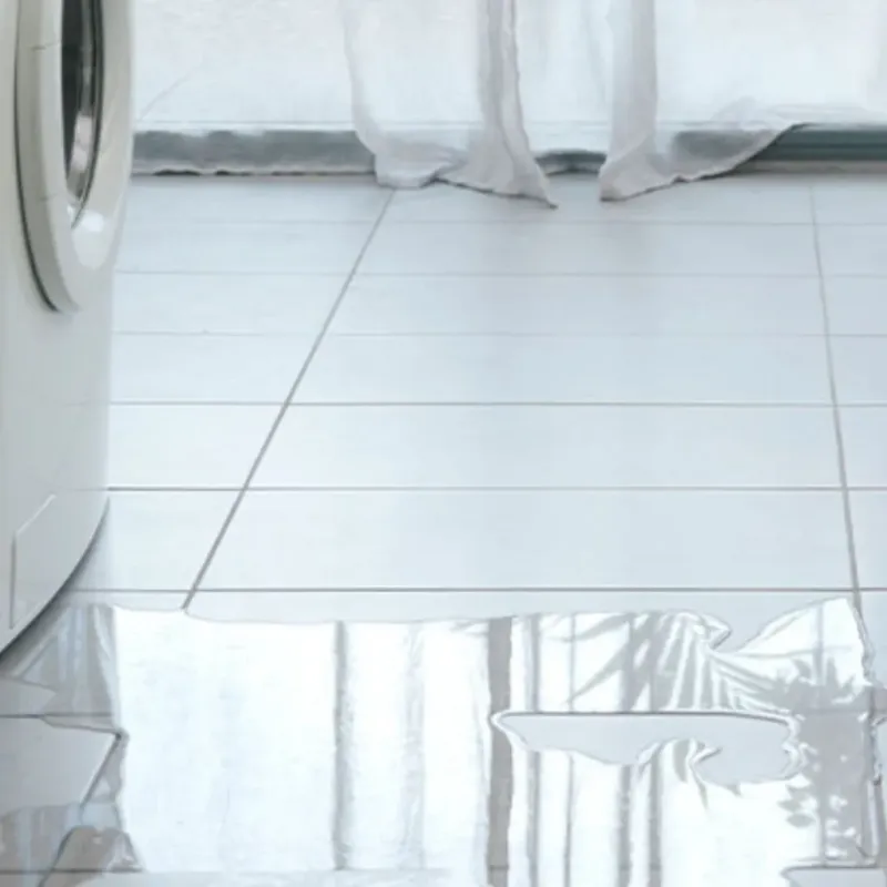 Appliance Leak Cleanup in Kingsland, TX