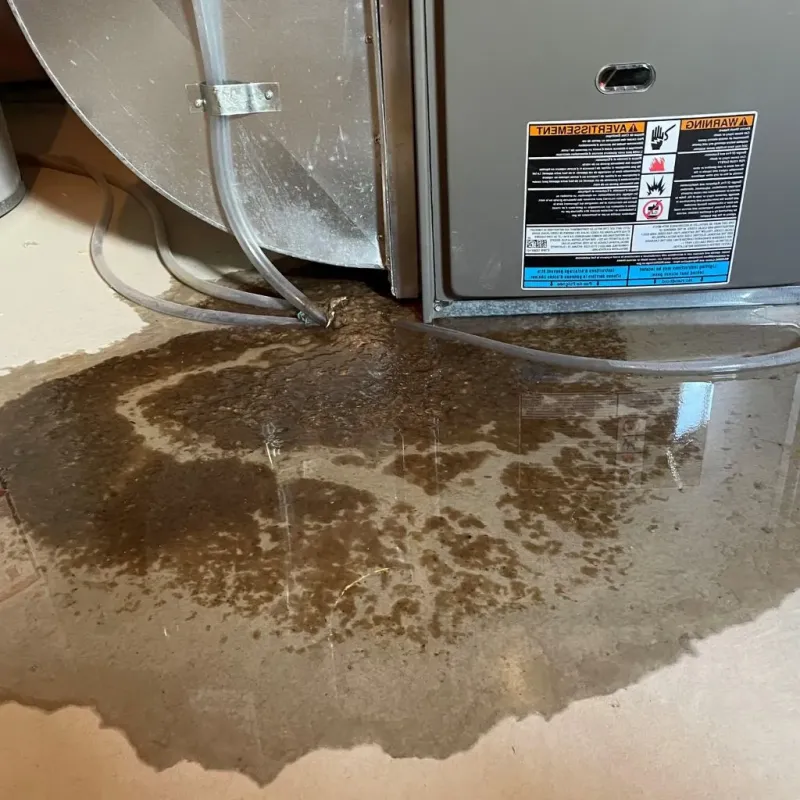 Pipe Burst and Leak Restoration in Kingsland, TX