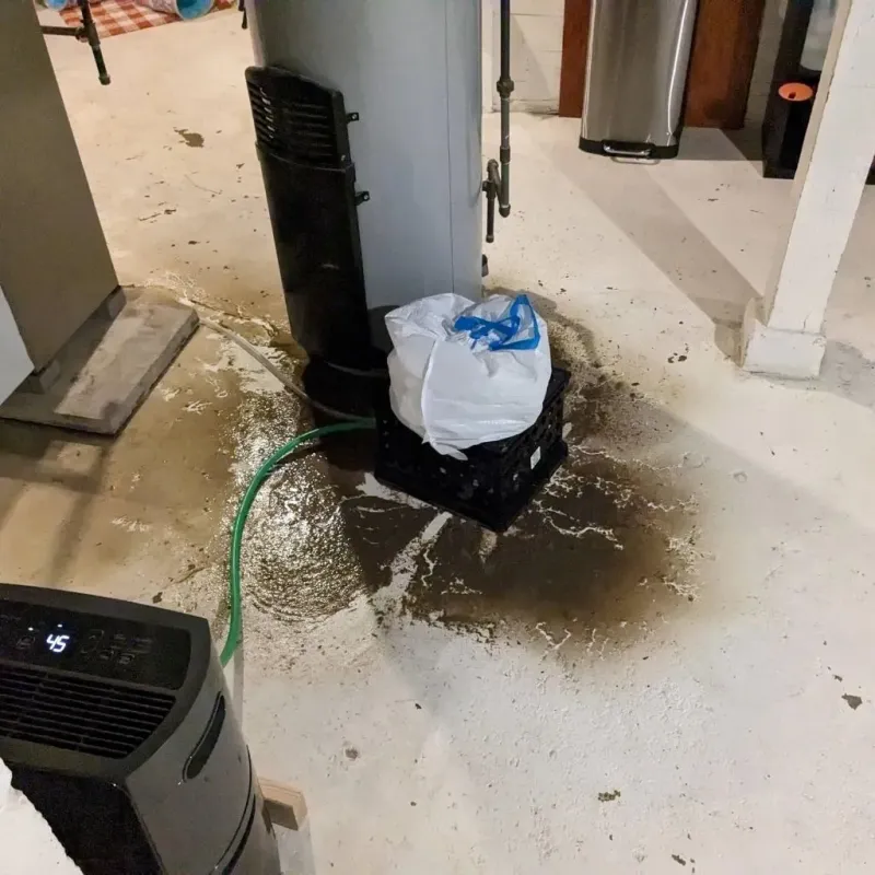Sewage Backup Cleanup Service in Kingsland, TX